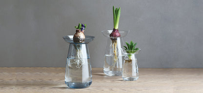 AQUA CULTURE VASE 80mm