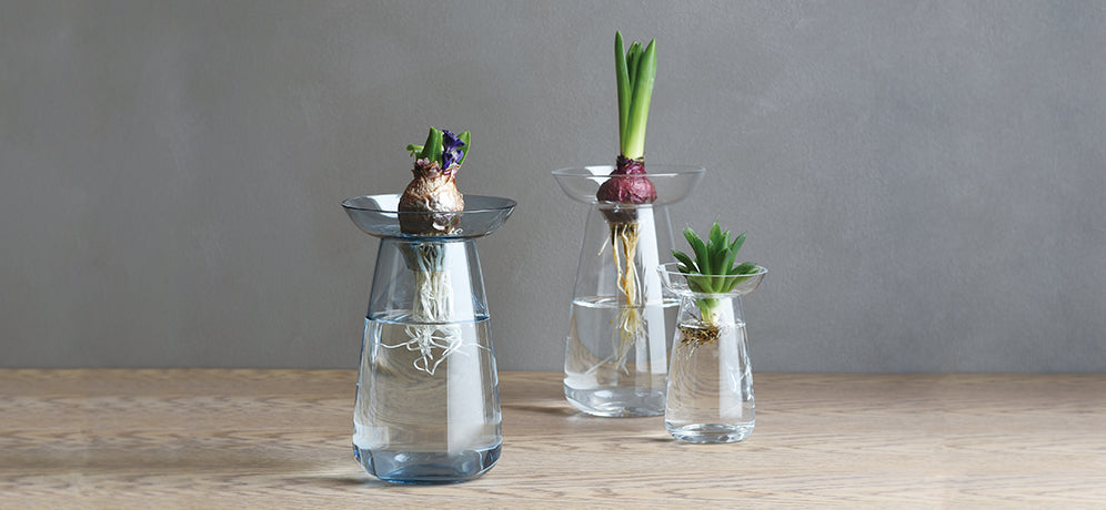 AQUA CULTURE VASE 120mm